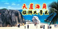 啊啊啊免费操逼视频海南三亚-天崖海角旅游风景区