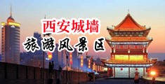 襙比视频在线中国陕西-西安城墙旅游风景区